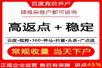 百度竞价赚钱攻略：实战案例分享